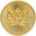  Investiční zlatá mince  1 oz Maple Leaf  2024